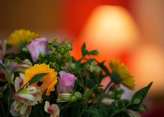 Quality & Leisure Centre 3*